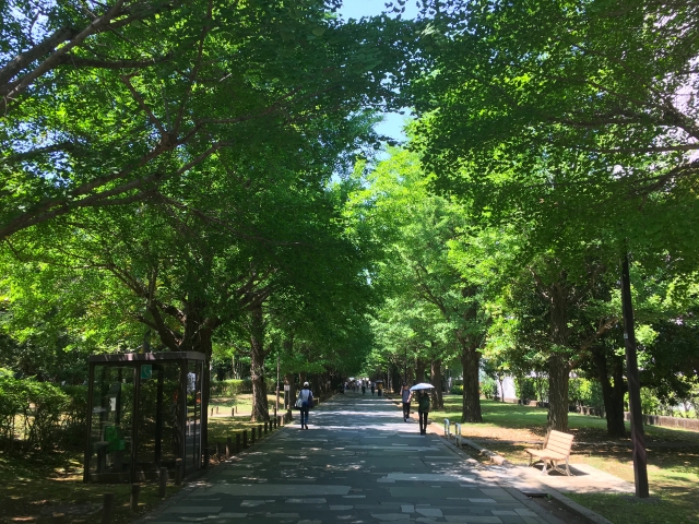 ブログサンプル5